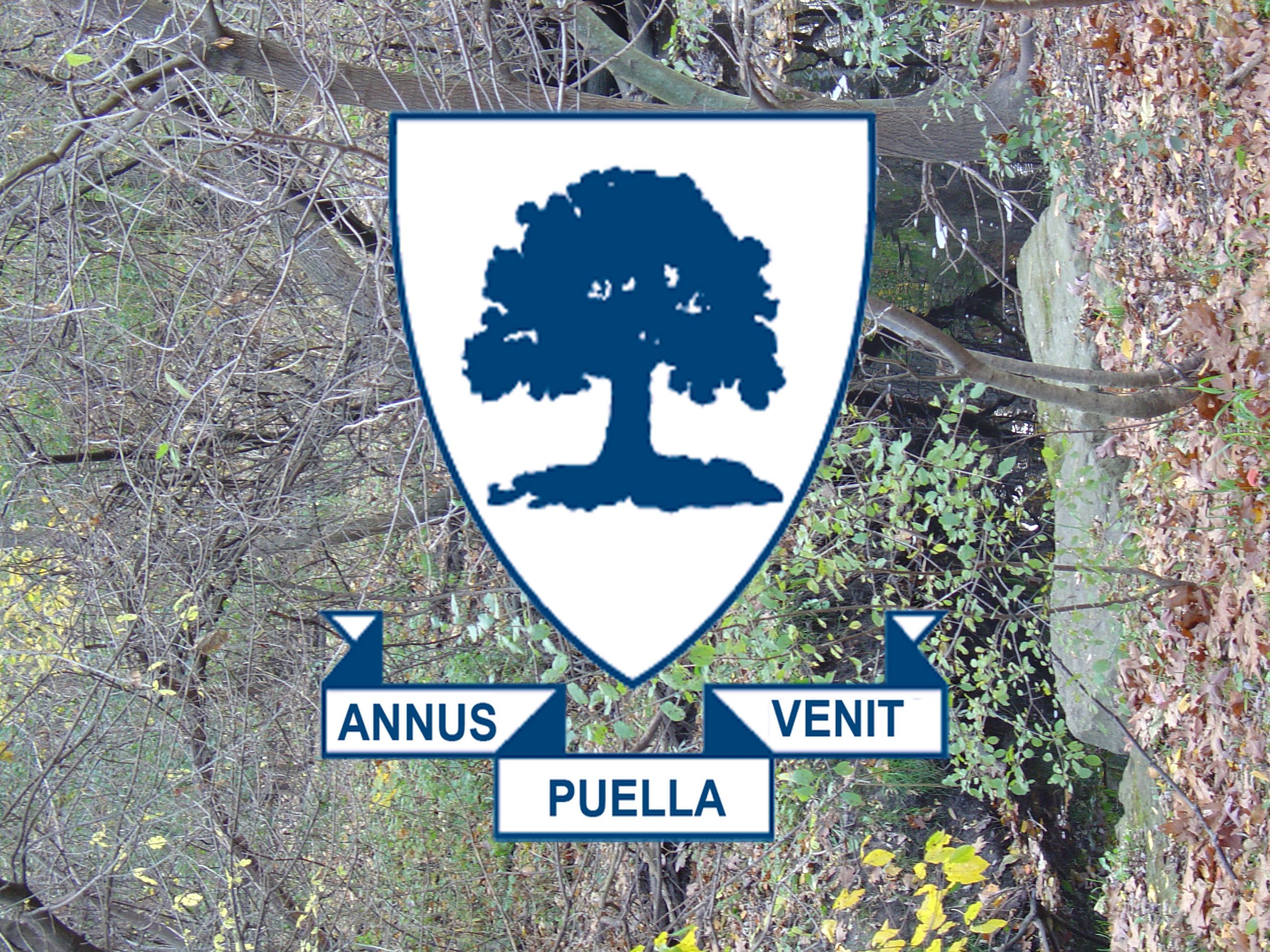 Annus Puella Venit